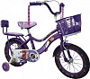 HA214 Принцесса Велосипед (2 крыла,корзина,доп колеса) 